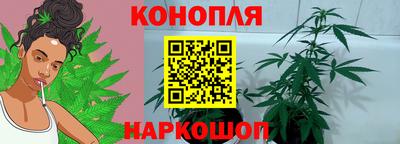 молекула духа Жуковский