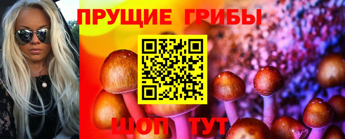 Галлюциногенные грибы мицелий Мелеуз